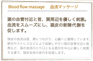 headcare ヘッドケア Blood flow massage血流マッサージ